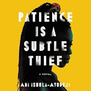 Patience Is a Subtle Thief: A Novel