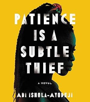 Patience Is a Subtle Thief: A Novel