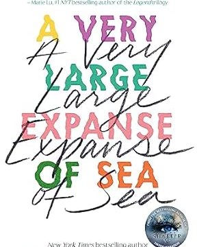 A Very Large Expanse of Sea