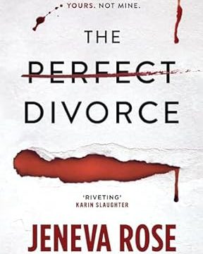 The Perfect Divorce