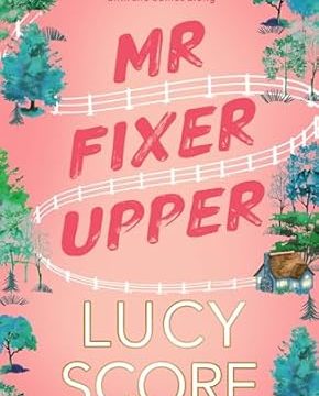 Mr Fixer Upper - Fixer Book 1
