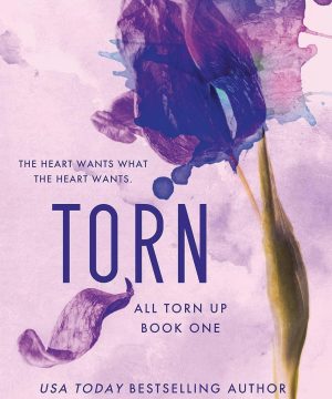Torn - All Torn Up, Book 1