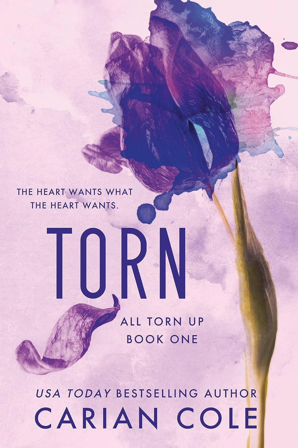 Torn - All Torn Up, Book 1