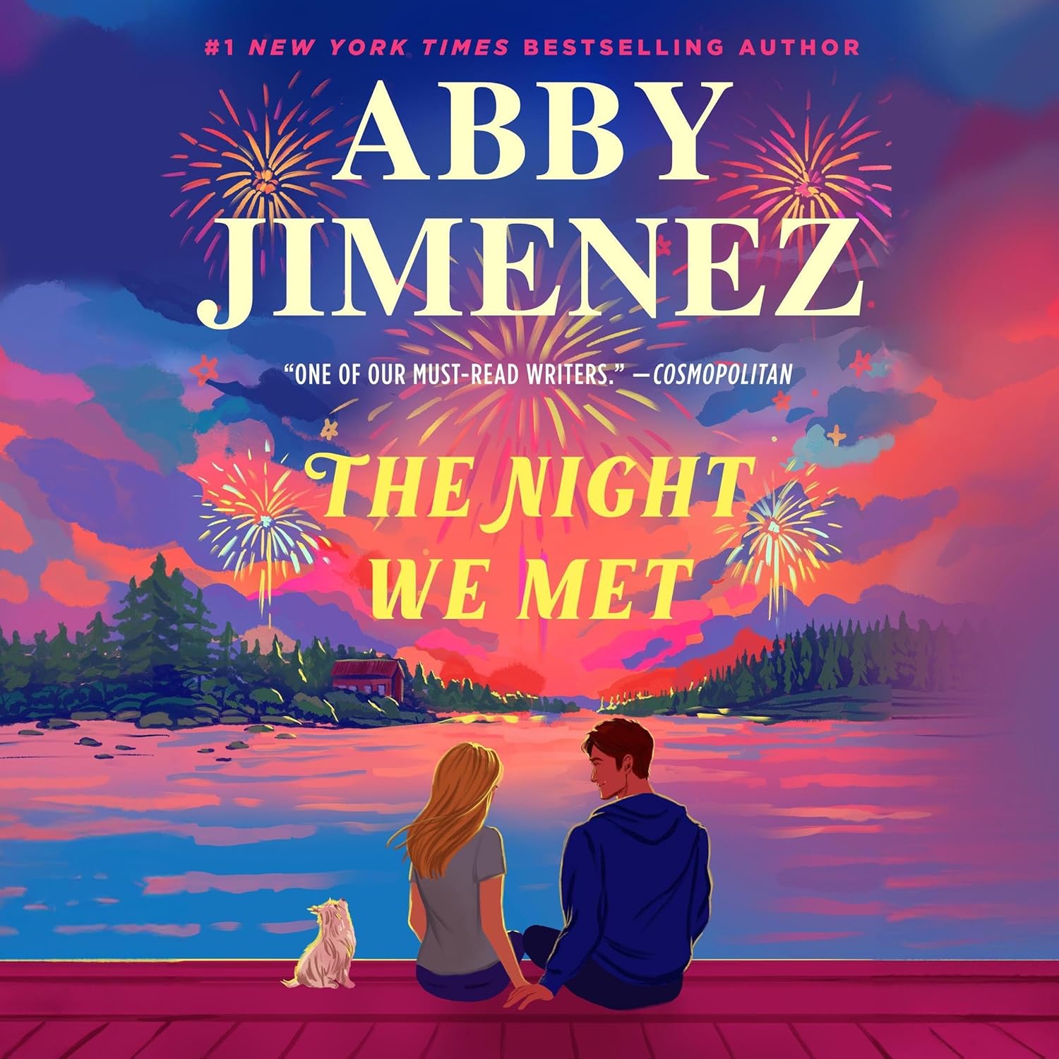 The Night We Met